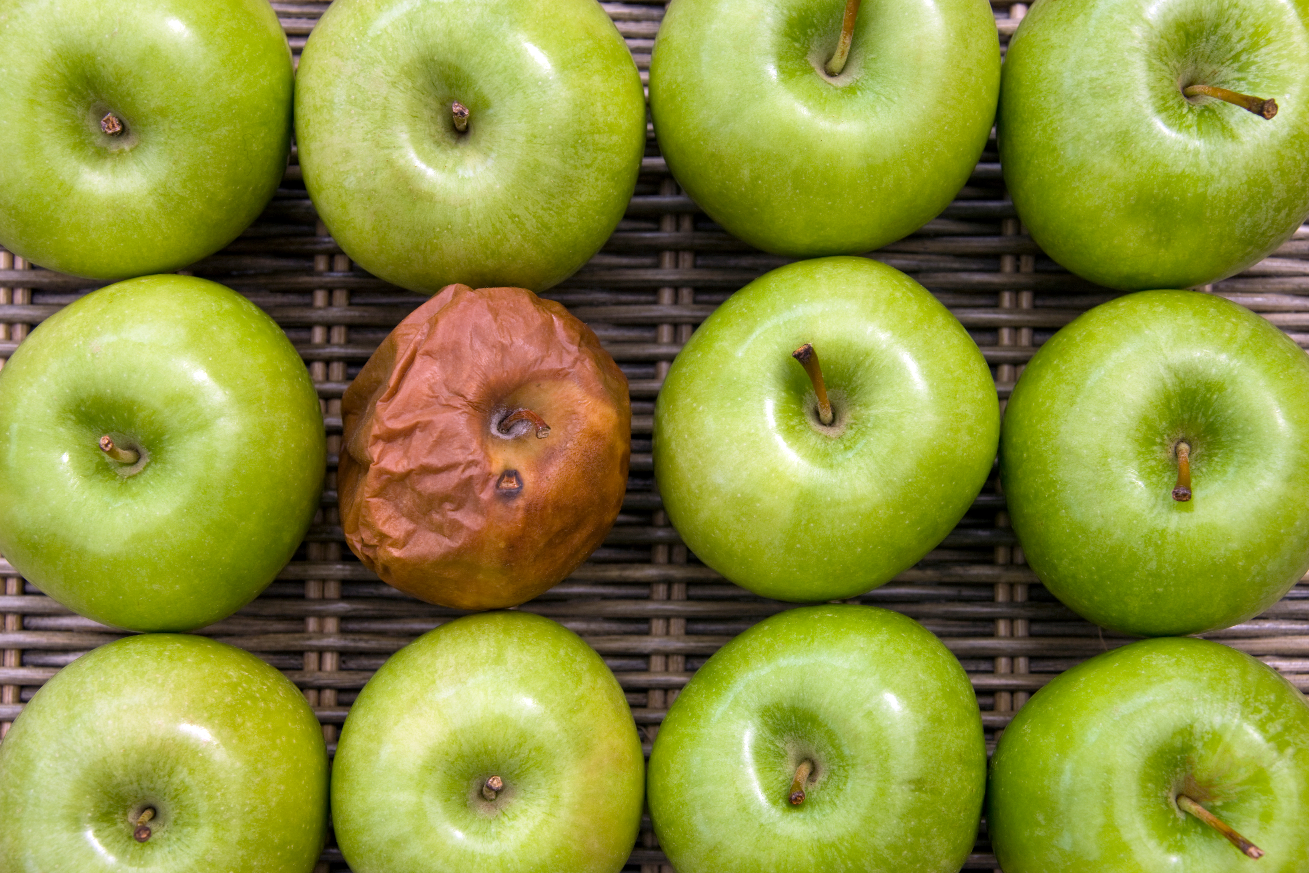one bad apple in a bunch (implied food waste)